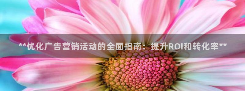 必赢客安卓版