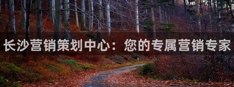 必赢官网app下载安装苹果版