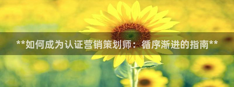 必赢线上网址是什么