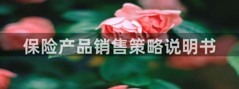 必赢网站平台登录
