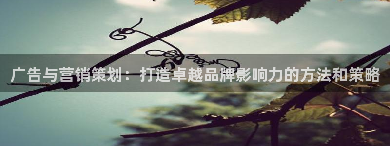 必赢网址谁知道的