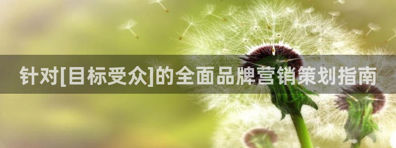 必赢网址 登录