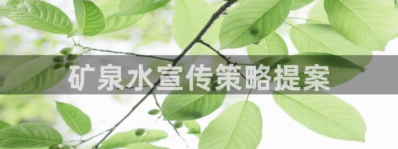 必赢网站进去