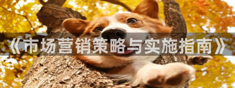 9965必赢游戏版本
