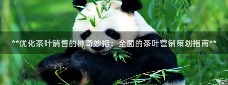 必赢网址谁知道