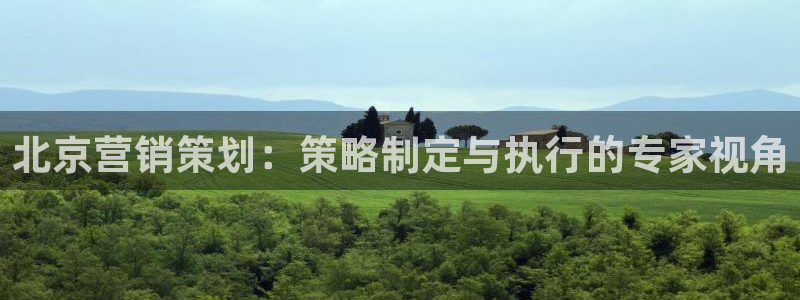 必赢公司是怎样的一家企业