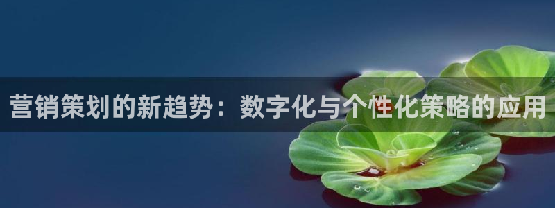 必赢网址手机主页打不开