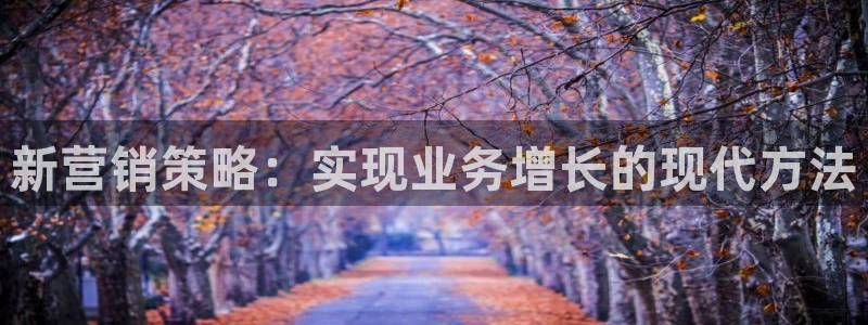 必赢网站进去