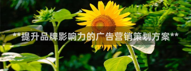 必赢官网下载app