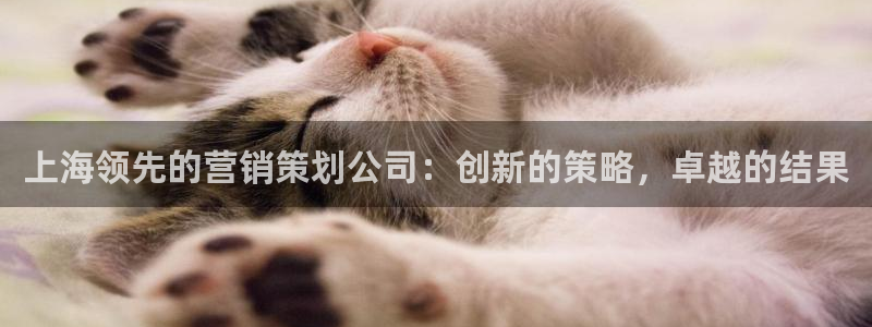 必赢国际苹果怎么下载