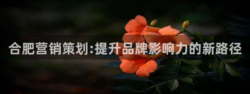 必赢网址手机主页怎么设置