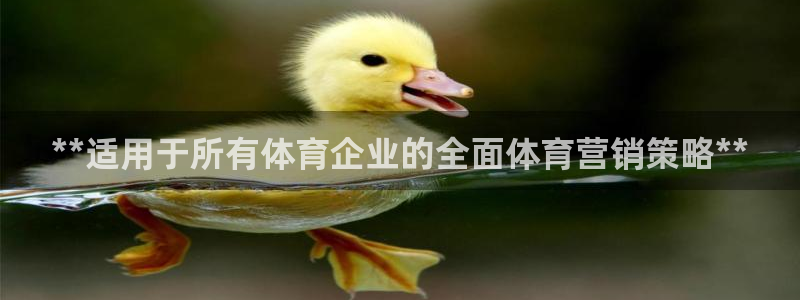 必赢线上网址是多少