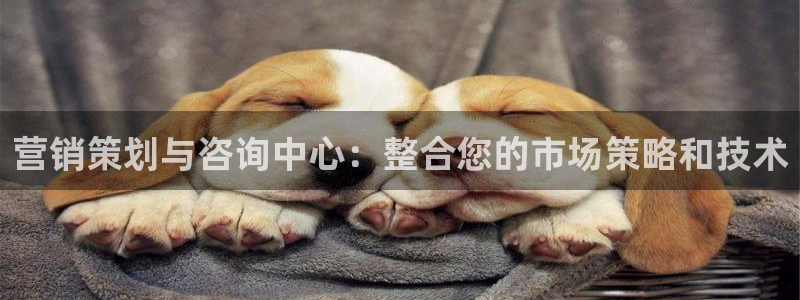 必赢网站有哪些