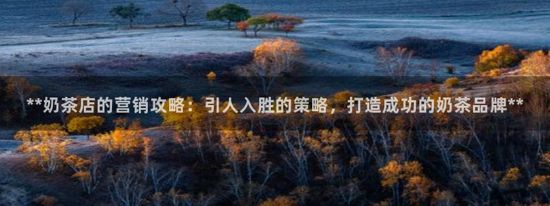 56.nt必赢官网