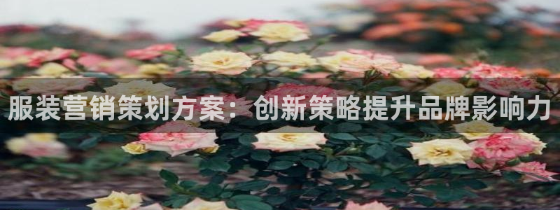 必赢国际a600典ccapp