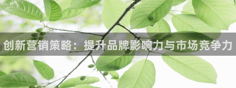必赢线上网址是多少