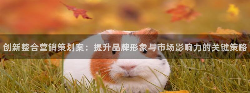 必赢集团网站官网