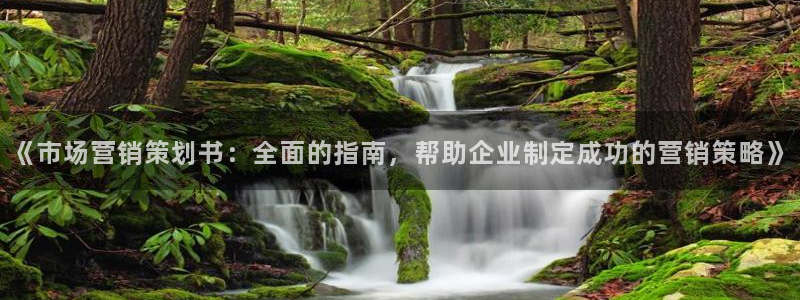 必赢平台怎么样