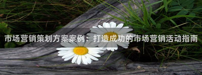 必赢网站充值是真的吗