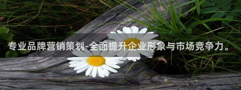 必赢app官方