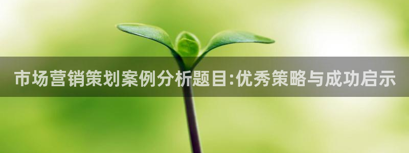 必赢8111e