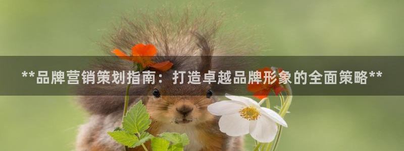 必赢亚赢网站官网下载手机版