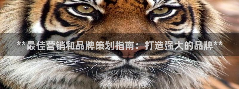 9965必赢棋官方网站怎么样