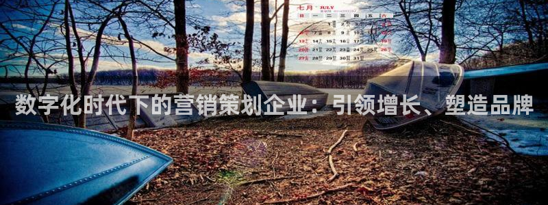 必赢手机app下载