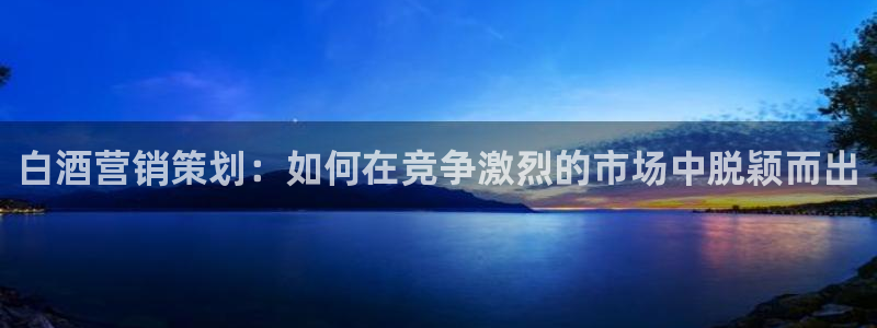 必赢国际的网站多少