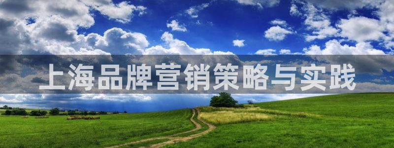 必赢网站mg冰球突破豪华版
