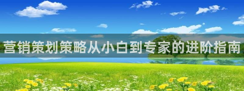 必赢88