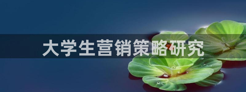 必赢最新