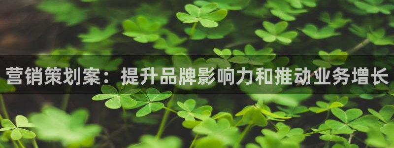 必赢科技北京有限公司