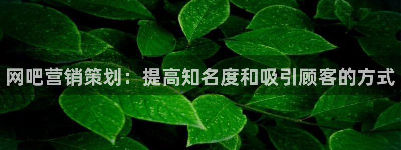 必赢网址谁知道