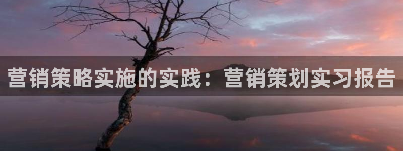 必赢官网app下载安装