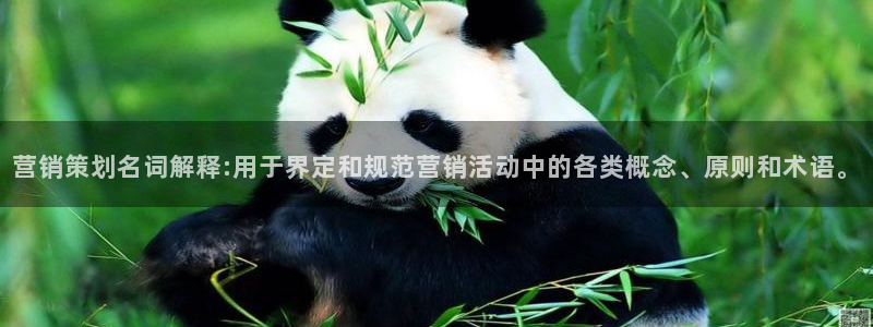 必赢科技