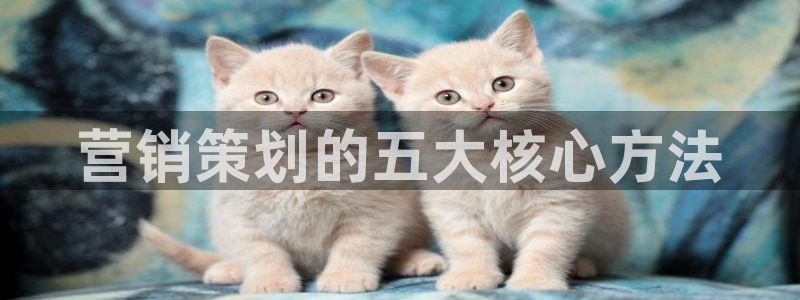 必赢手机版官网