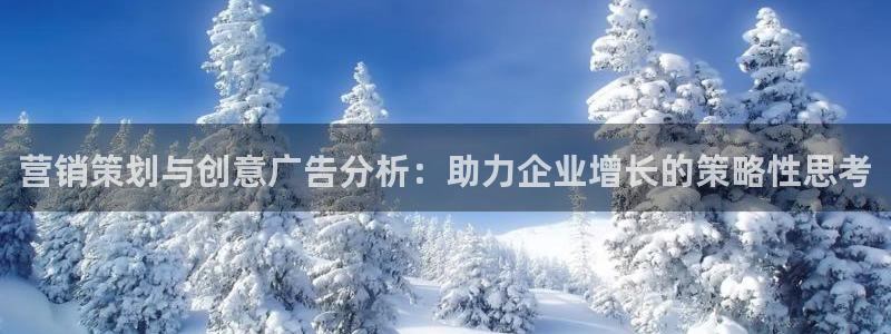 必赢国际437app下载