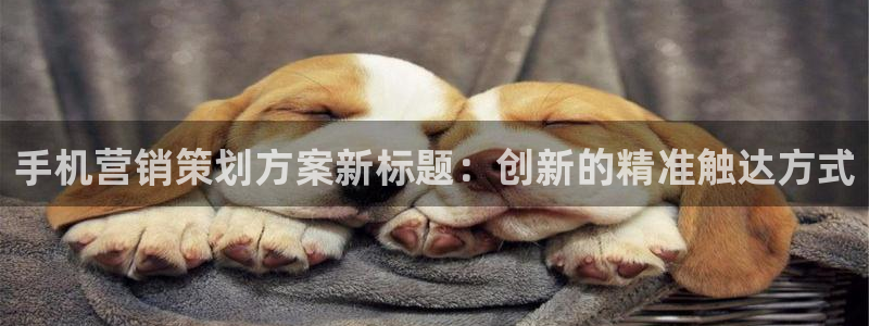 必赢官网app下载安装最新版苹果