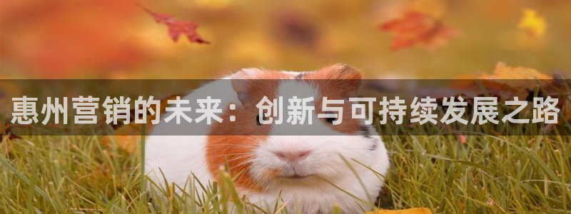 必赢亚赢网站官网下载安卓