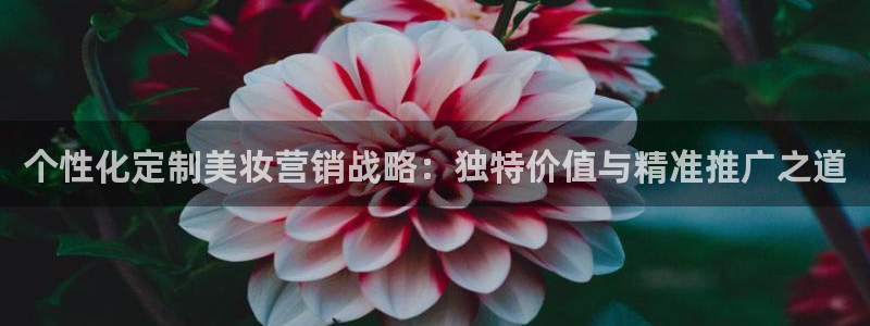 必赢官网8873欢迎您