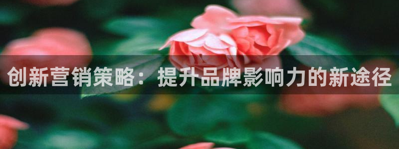 必赢国际是什么