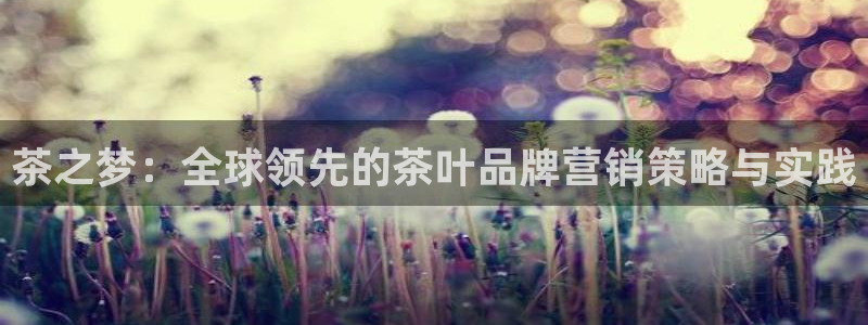 必赢集团怎么样