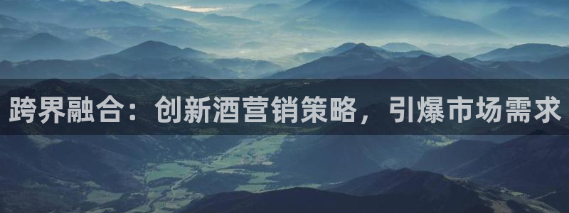 必赢3003平台