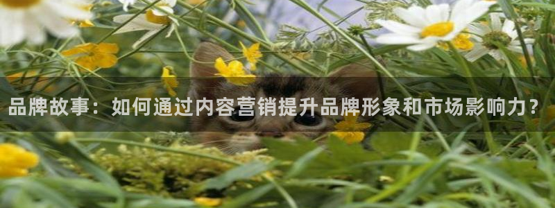 必赢客软件