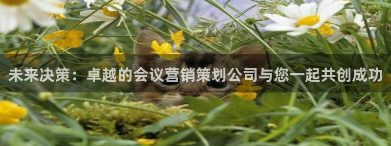必赢官网app下载安装手机版最新版