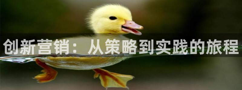 必赢科技有限公司