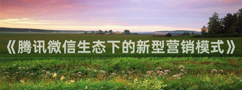 必赢app客户端下载官网