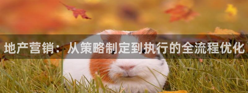 必赢3003网官