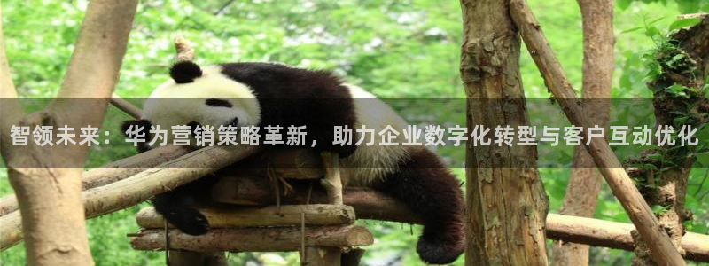 必赢手机app下载最新版本安卓苹果